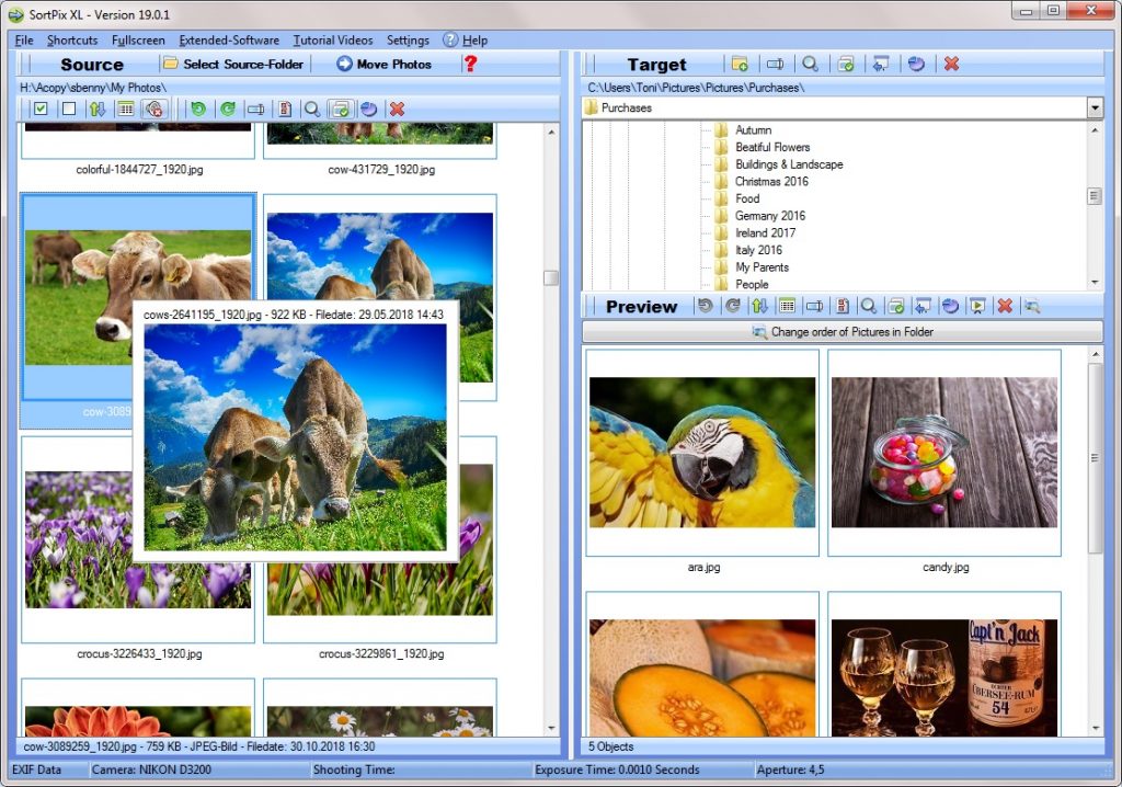 Photo manager software