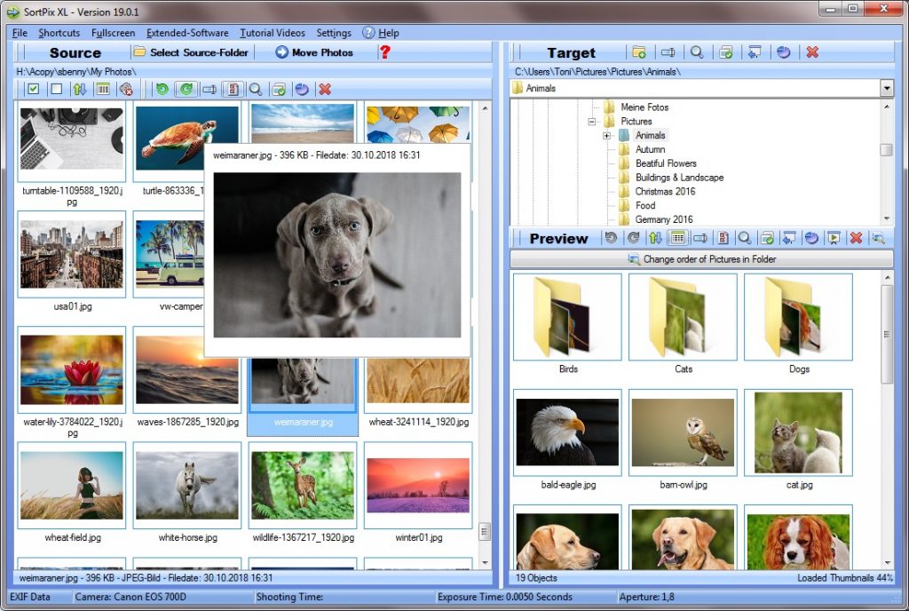 Photo Manager Software