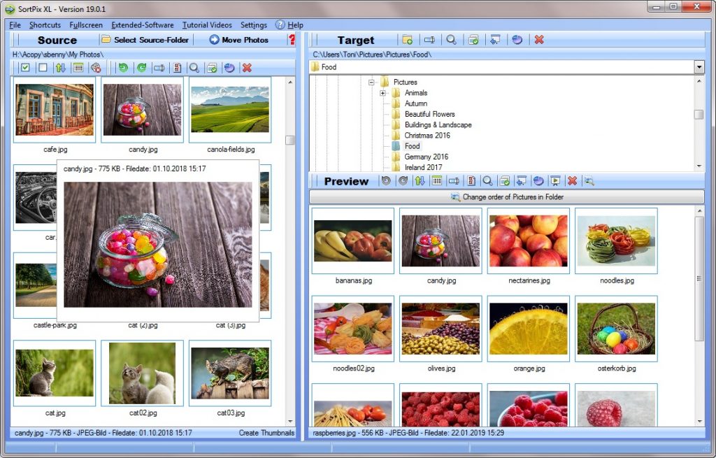 Photo organizer software
