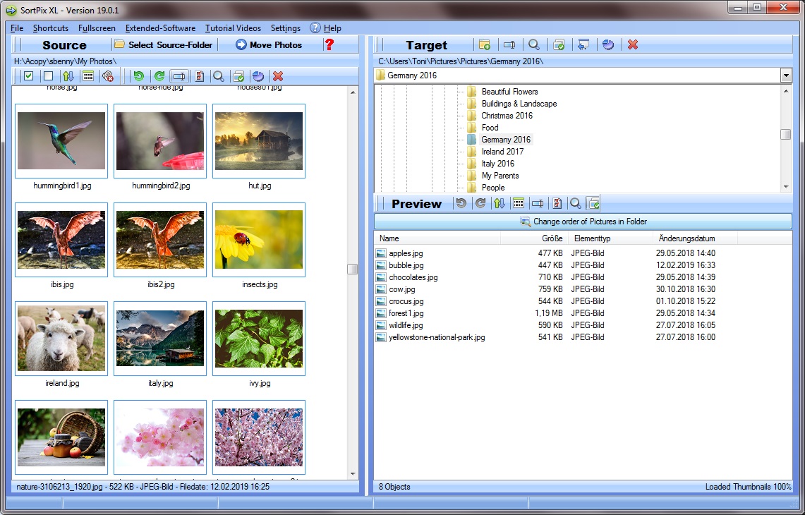 Photo Organizing Software For Windows 10