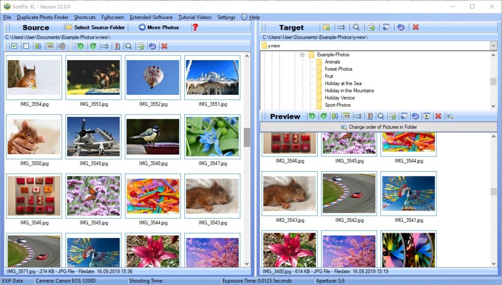 Best photo organizing software