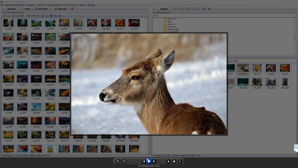 Photo management software Windows 11