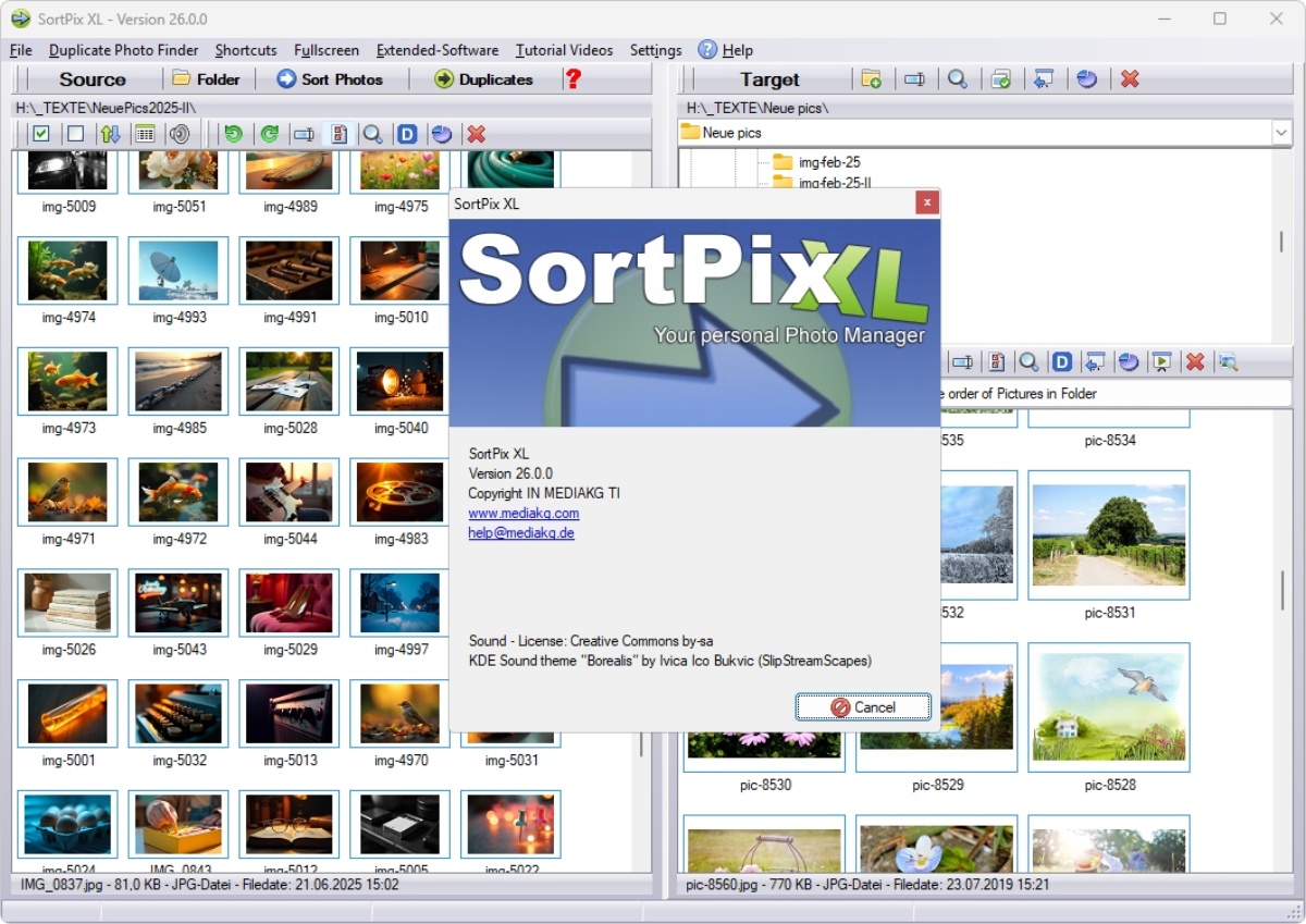 Photo Organization for Windows 11