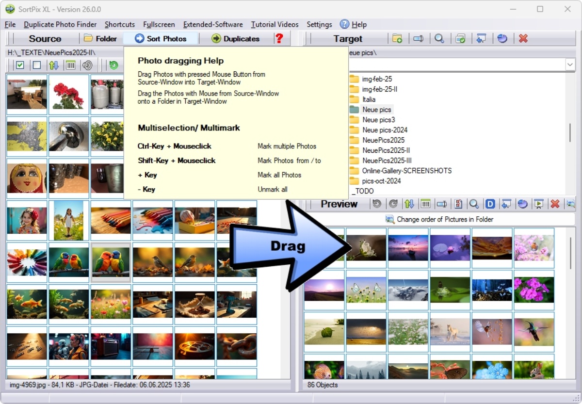 Photo Organizer Software for Windows 11