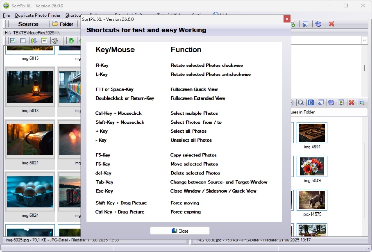 Windows 11 photo management software